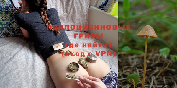гашик Горно-Алтайск