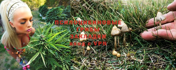 гашик Горно-Алтайск