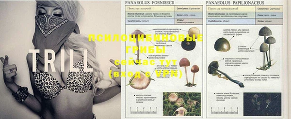 MESCALINE Горняк