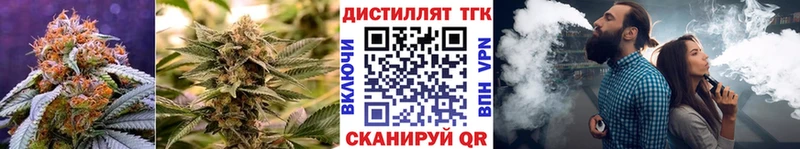 Купить где  Курганинск  ТГК вейп 