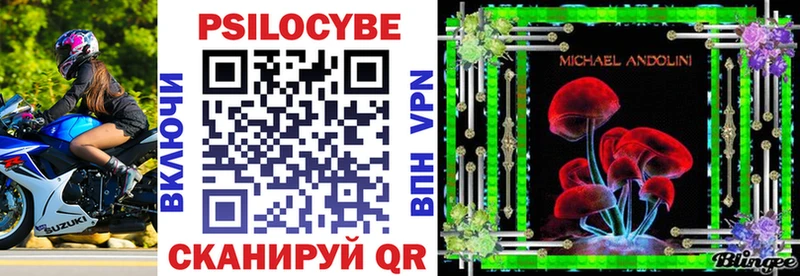 Псилоцибиновые грибы прущие грибы  Купить закладки  Курганинск 